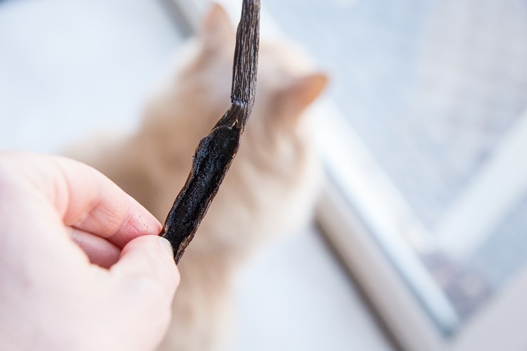 How to cut a vanilla bean