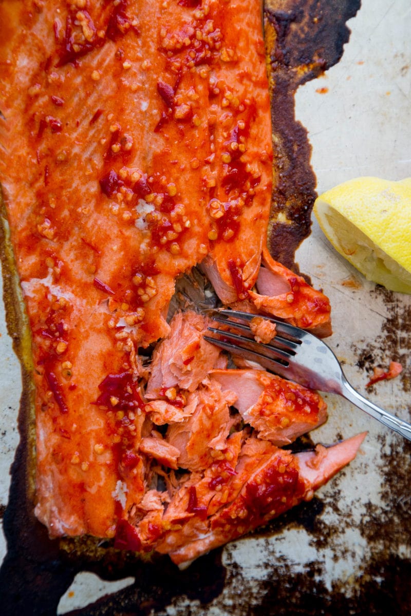 Harissa Salmon Recipe - only 5 ingredients needed for this delicious baked salmon recipe. Paleo, whole30, keto