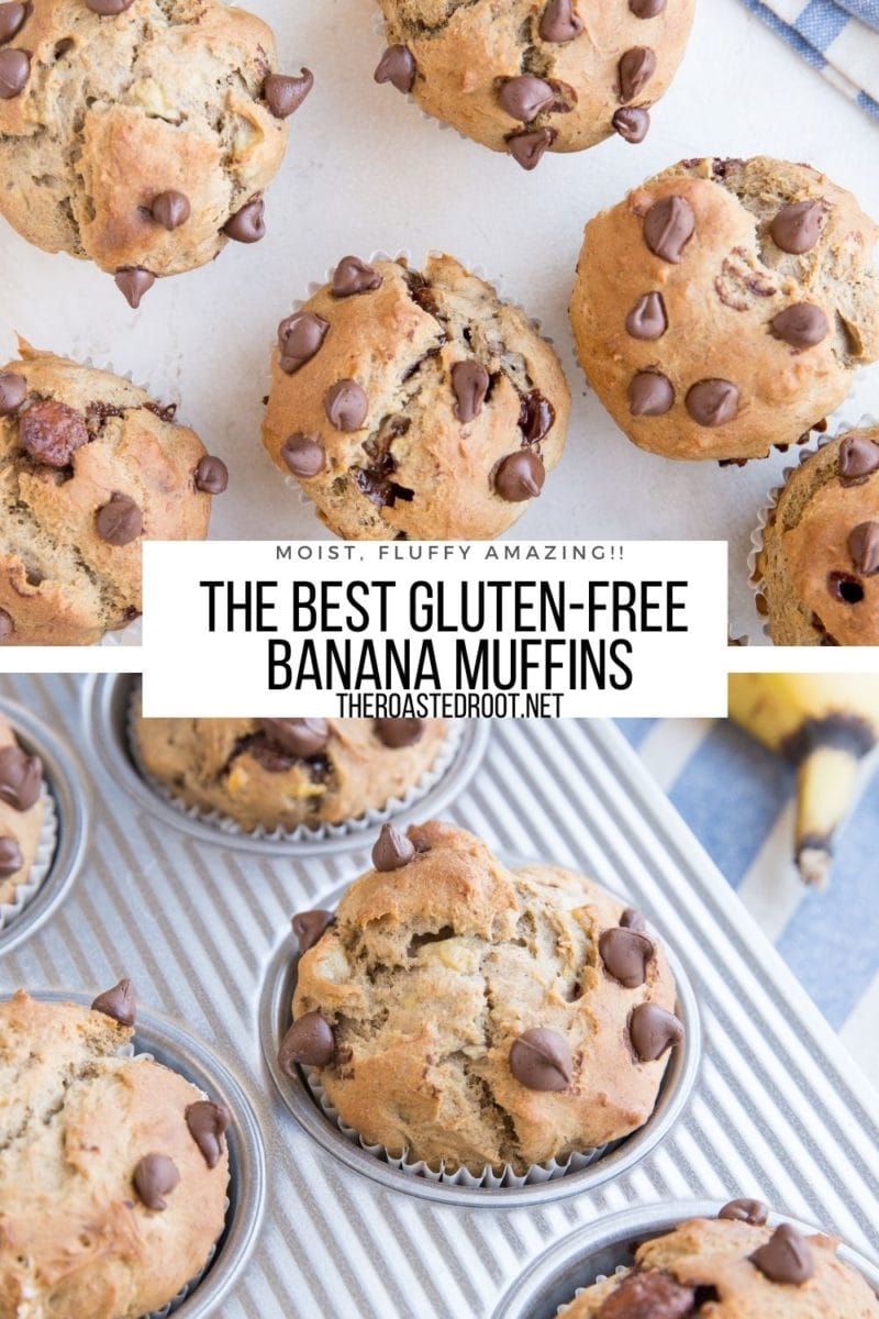 Marvelously fluffy Gluten-Free Chocolate Chip Banana Muffins are a joyous explosion of banana deliciousness! Make them for brunch or snack!