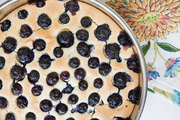 Finished blueberry cake in a cake mold