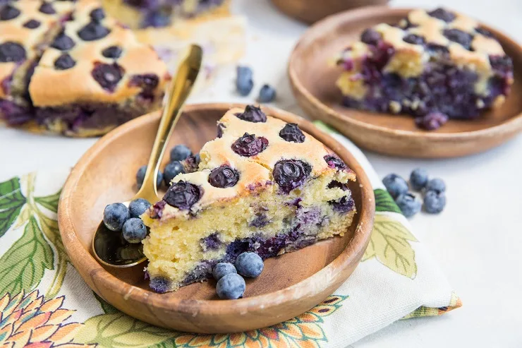 Grain-Free Blueberry Cake made paleo, dairy-free, grain-free, and refined sugar-free