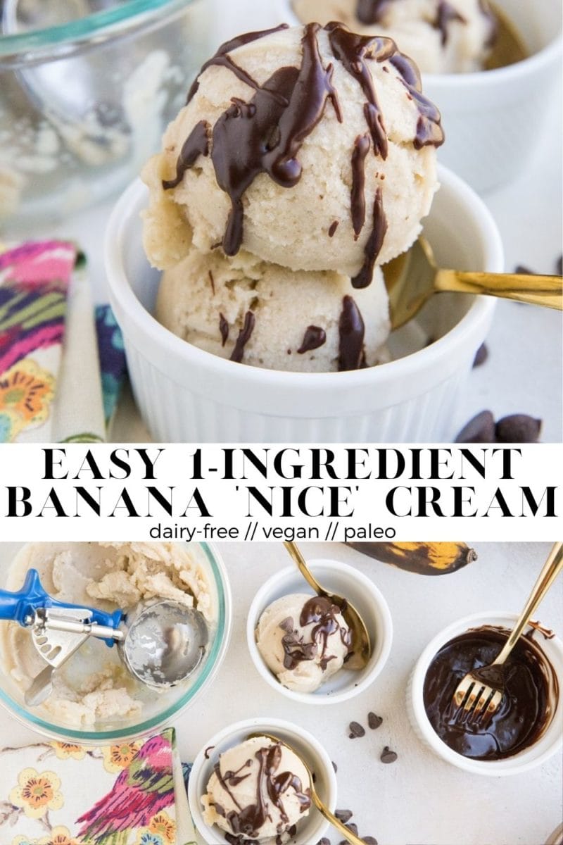 3-Ingredient Chocolate Banana Ice Cream (Vegan, Paleo) - The Roasted Root