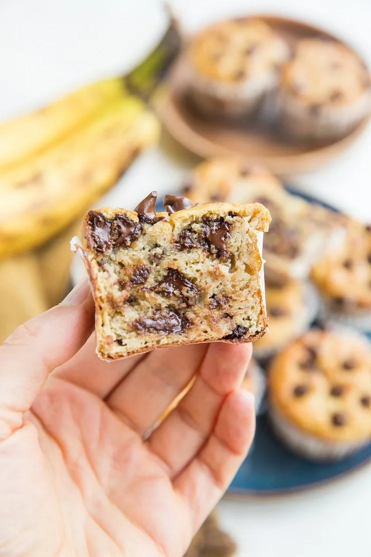 Healthy Flourless Garbanzo Bean Banana Muffins with chocolate chips. Gluten-free, dairy-free, and healthy
