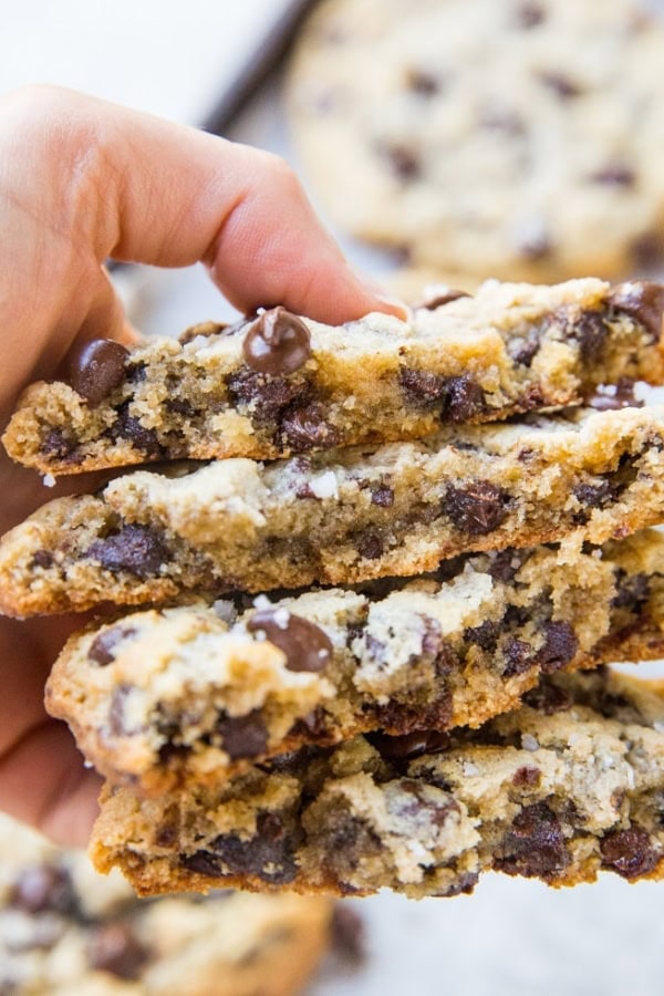 The BEST Giant Paleo Chocolate Chip Cookies - soft, chewy, gooey, amazing grain-free chocolate chip cookies