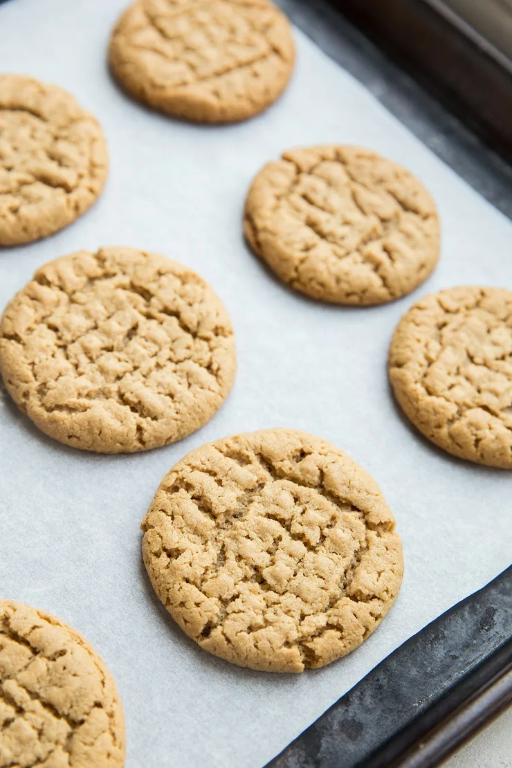 Easy Keto Peanut Butter Cookies made flourless with just 5 ingredients. Grain-free, sugar-free, low-carb dessert recipe.