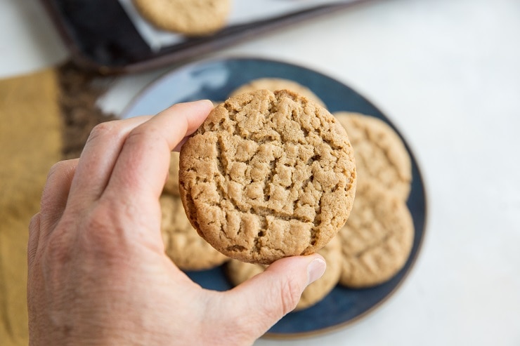 Keto Flourless Peanut Butter Cookies made with 5 basic ingredients. Grain-free, sugar-free, and low-carb.
