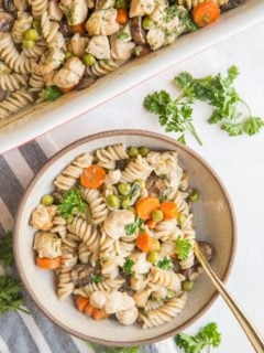 Creamy Chicken Noodle Casserole - gluten-free, dairy-free, packed with protein and complex carbohydrates for a deliciously filling and nutritious meal!