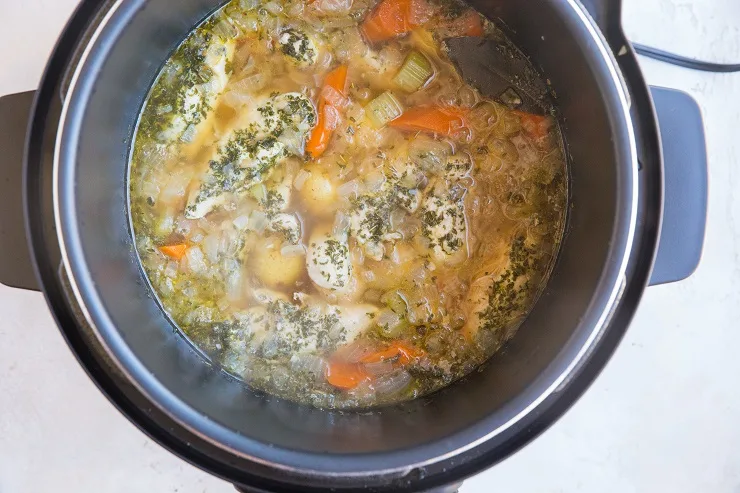 Finished Instant Pot Chicken Stew