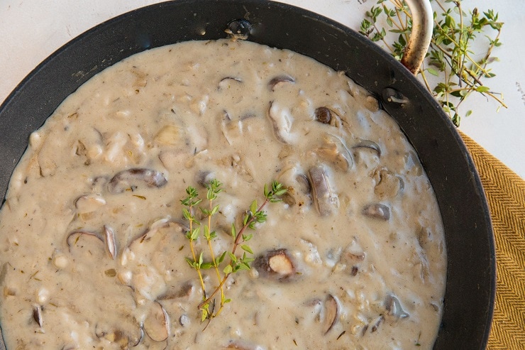 Dairy-Free Gluten-Free Condensed Cream of Mushroom Soup