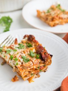 Dairy-Free Gluten-Free Lasagna - an easy lasagna recipe that is both gluten-free, dairy-free, AND delicious!