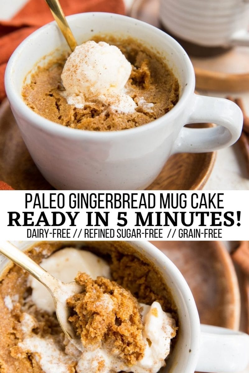 Paleo Gingerbread Mug Cake - refined sugar-free, gluten-free, dairy-free, amazing gingerbread recipe ready in 5 minutes!
