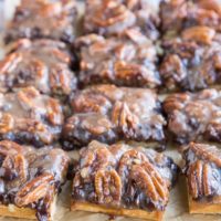 Vegan Chocolate Pecan Pie Bars (paleo) - a delicious holiday dessert! Grain-free, gluten-free, dairy-free, refined sugar-free, and egg-free. Gooey, rich crumb bars!