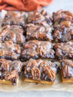 Vegan Chocolate Pecan Pie Bars (paleo) - a delicious holiday dessert! Grain-free, gluten-free, dairy-free, refined sugar-free, and egg-free. Gooey, rich crumb bars!