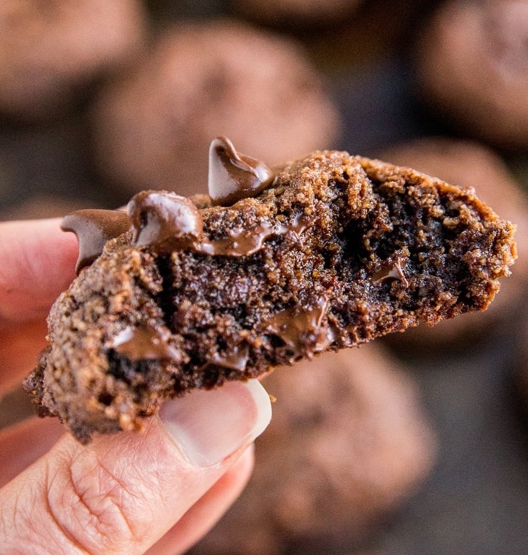 Low-Carb Chocolate Chip Cookies - double chocolate chip cookies made keto, grain-free, and sugar-free