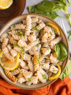 30-Minute Gluten-Free Dairy-Free Creamy Chicken Pasta - rich, zesty, easy, tasty!