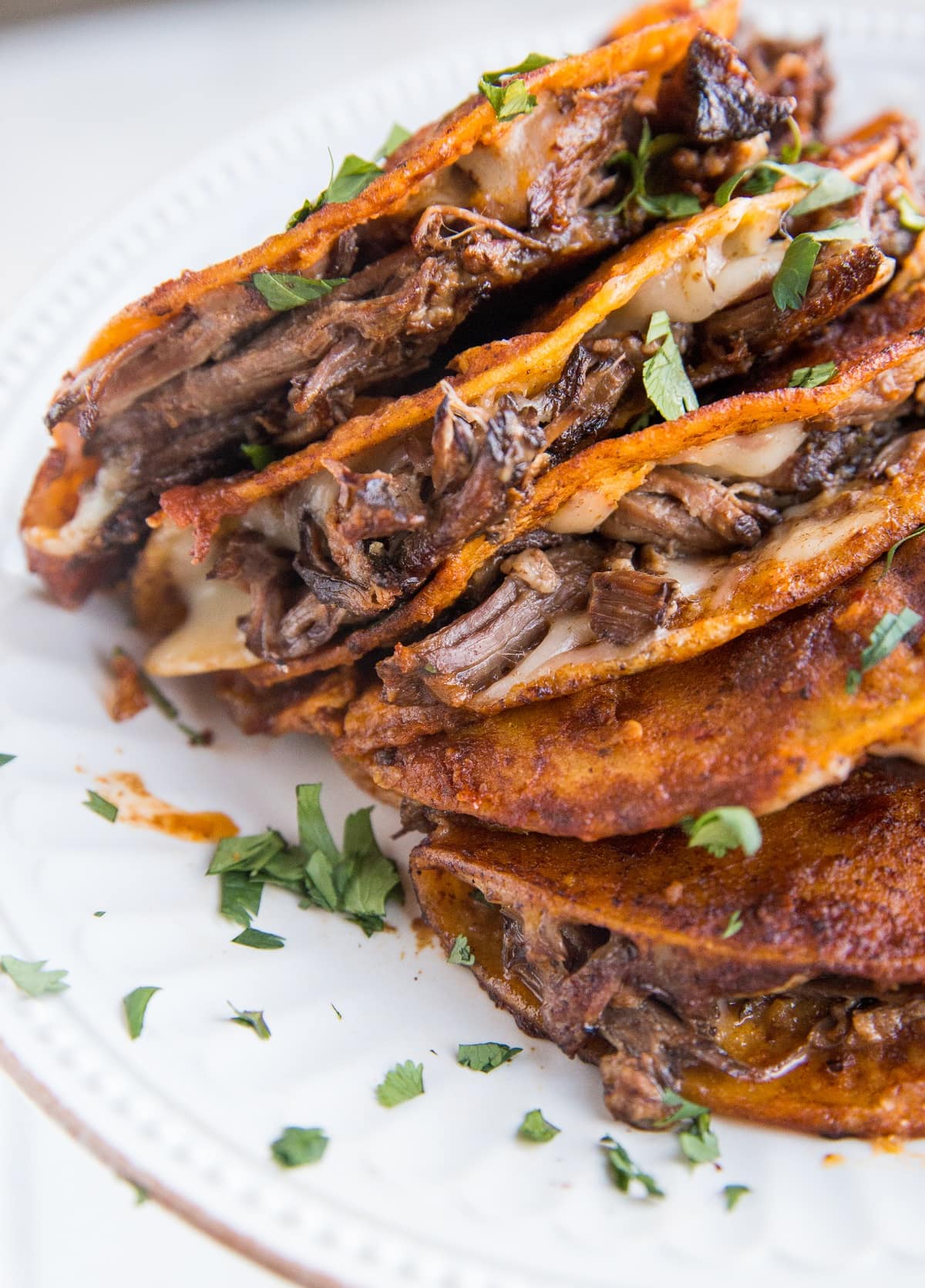 A stack of birria tacos on a white plate with melted cheese and sprinkled with fresh cilantro