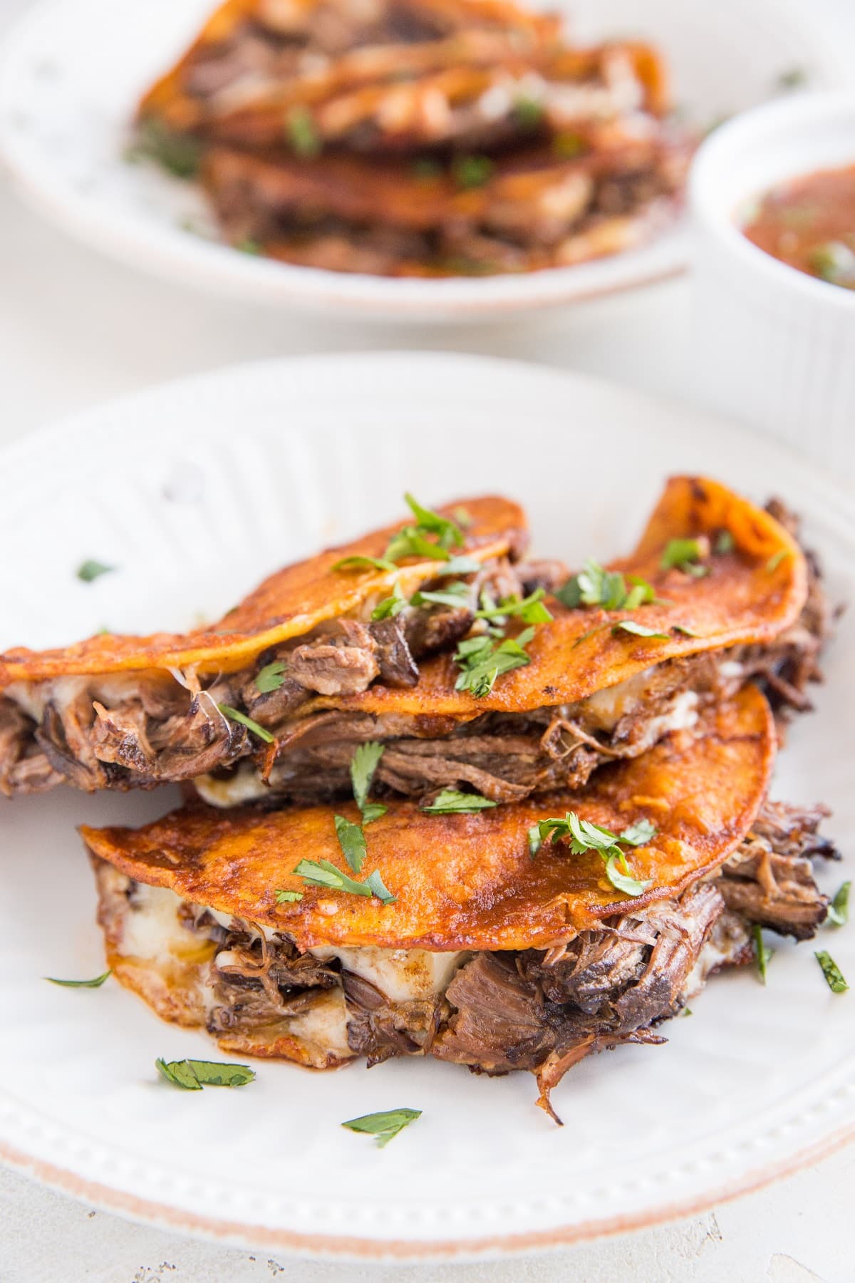 Crock Pot Birria Tacos - classic Mexican food of shredded tender beef braised in a chili sauce fried in a corn tortilla with cheese. An incredible taco recipe!