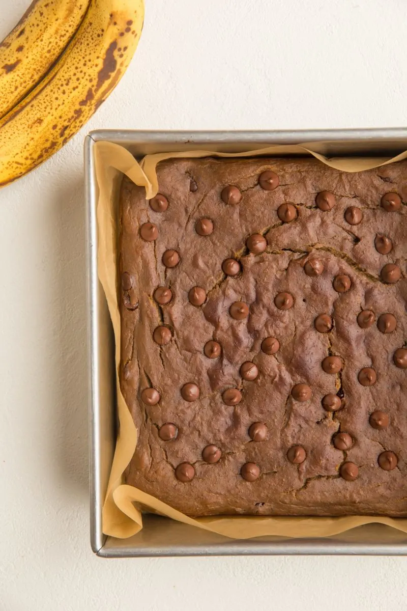 Chickpea bars fresh out of the oven in a cake pan