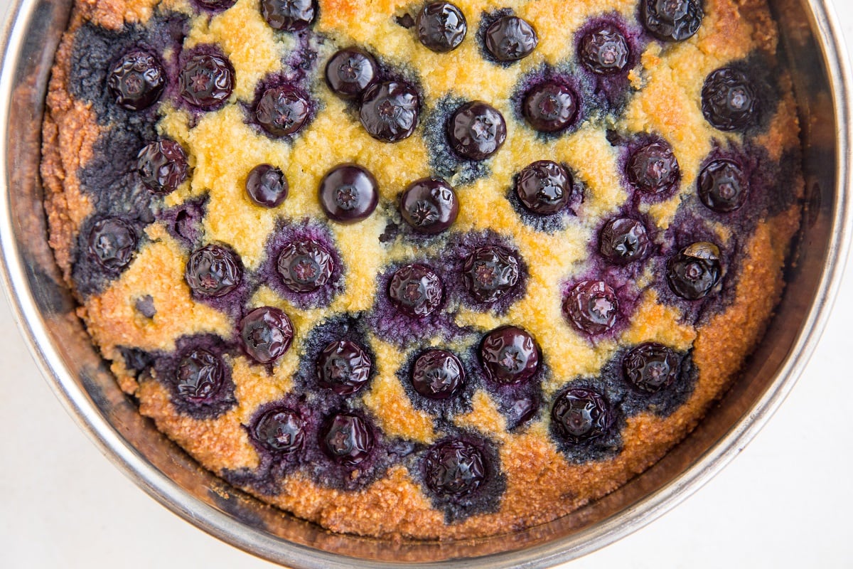 Blueberry cake in a cake pan fresh out of the oven