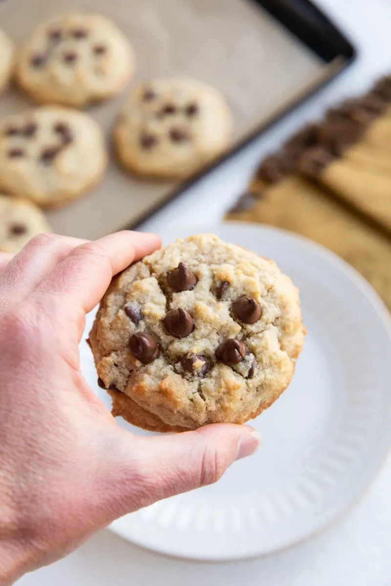 hand holding a chocolate chip cookies