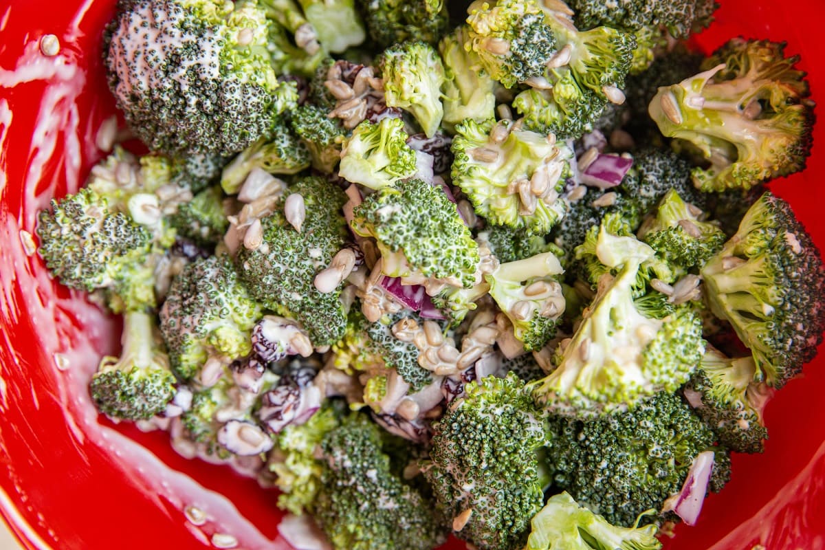 finished broccoli salad in a mixing bowl