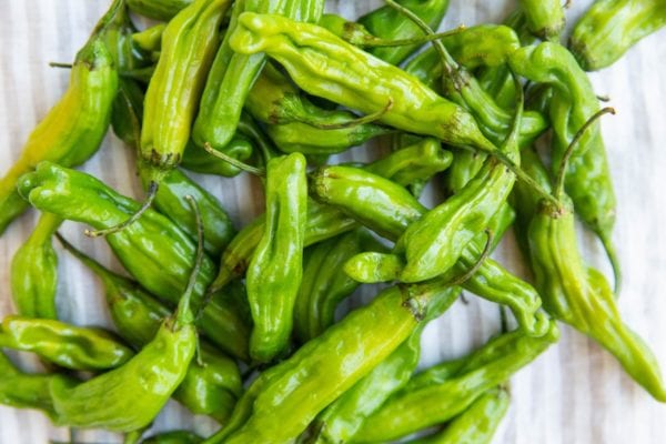 shishito peppers on a kitchen towel