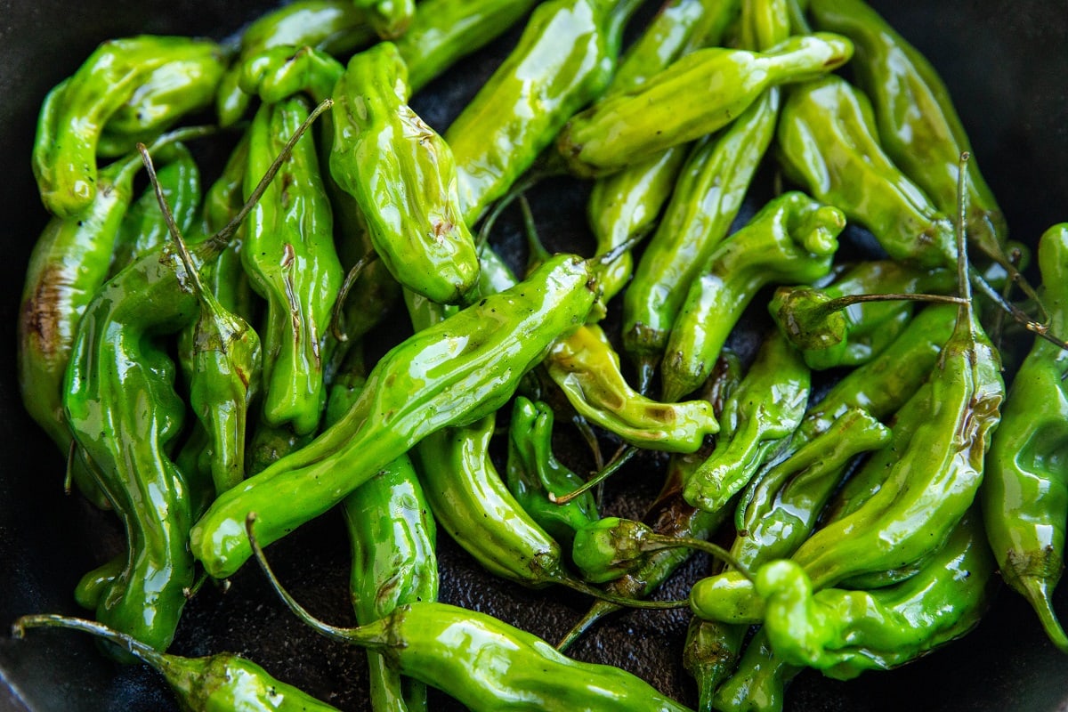 Cast iron skillet full of shishito peppers, cooking to be blistered.