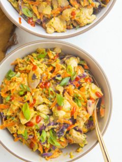 close up two bowls of Thai zucchini and chicken