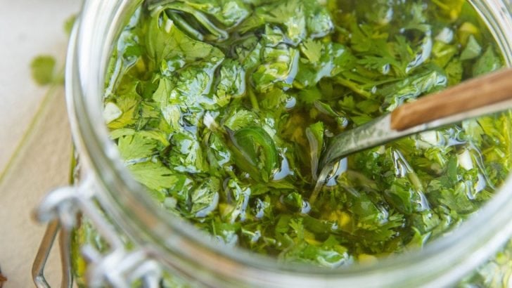 Jar of chimichurri sauce with a napkin to the side, along with fresh cilantro and jalapenos in the background.