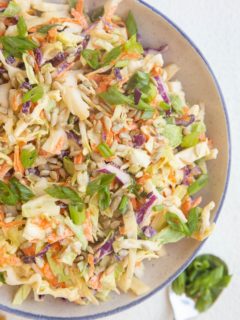 close up top town bowl of coleslaw