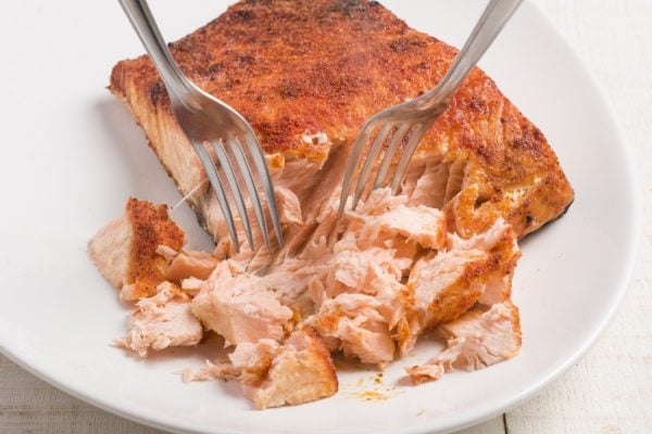 Cooked salmon on a plate with two forks shredding it.