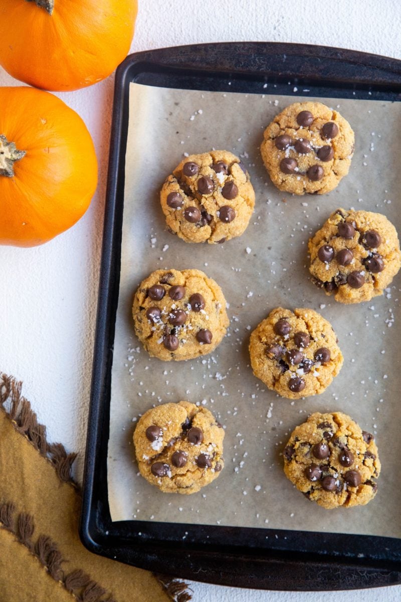 Finished pumpkin chocolate chip cookies, fresh out of the oven.