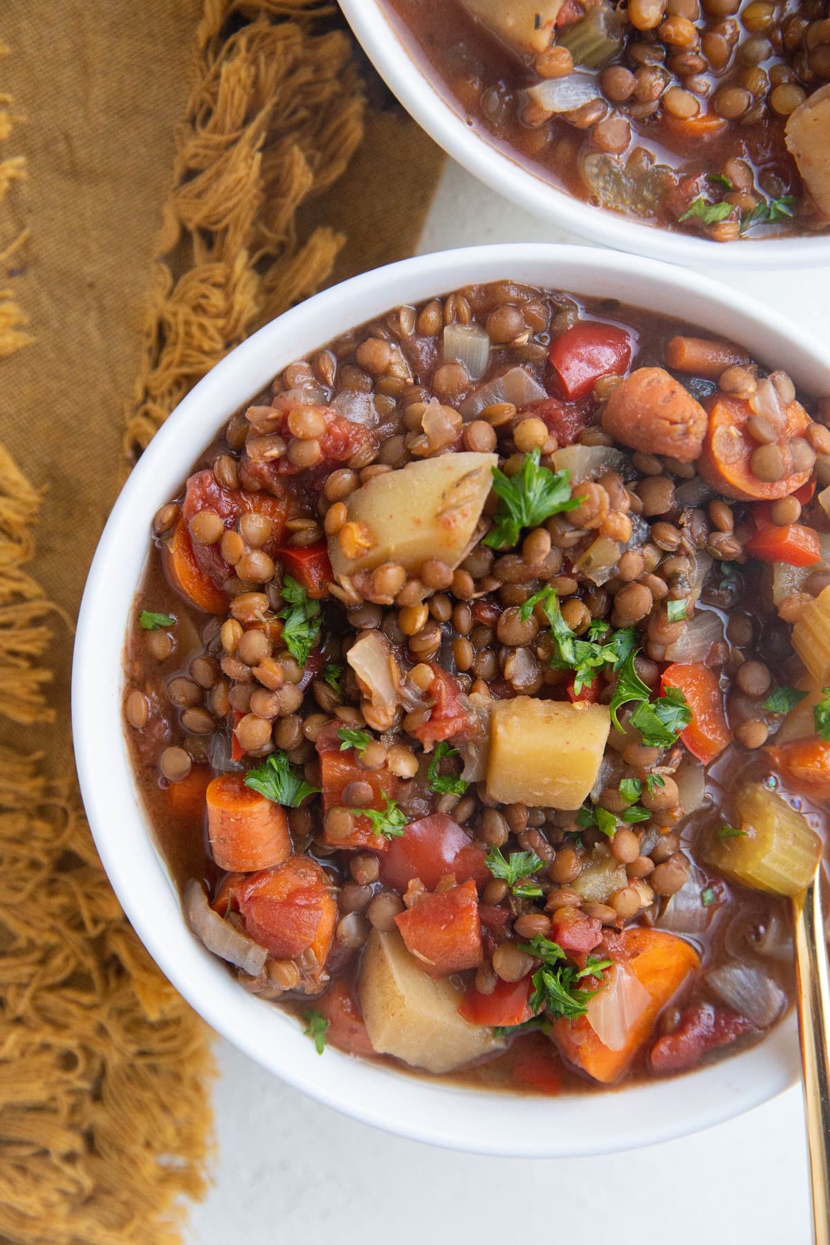 Close up image of two bowls of lentil soup with veggies