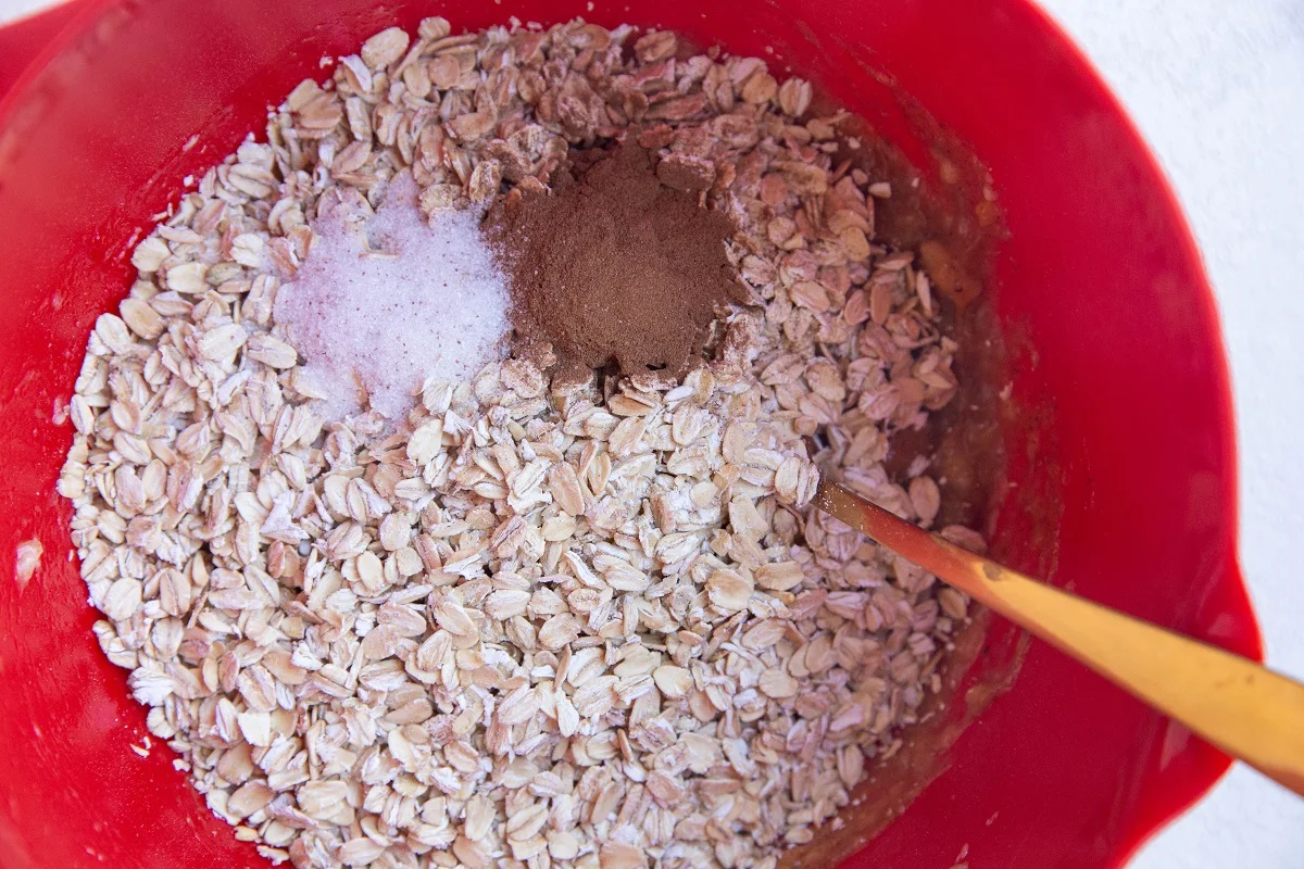 Oats, cinnamon and salt on top of the wet ingredients, ready to be mixed in.