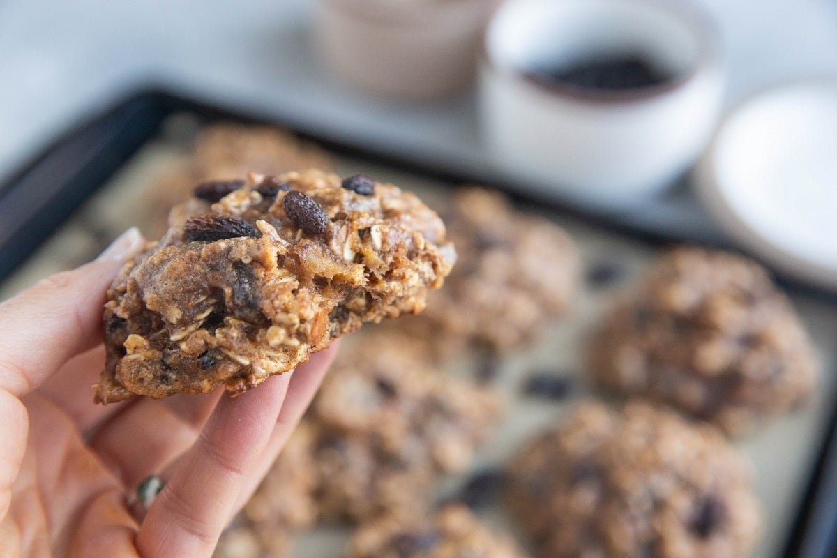 Hand holding an oatmeal raisin cookie with a bite taken out.