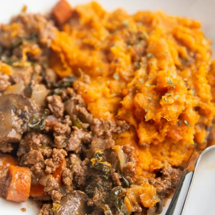 Big bowl of mashed sweet potatoes and meat with vegetables