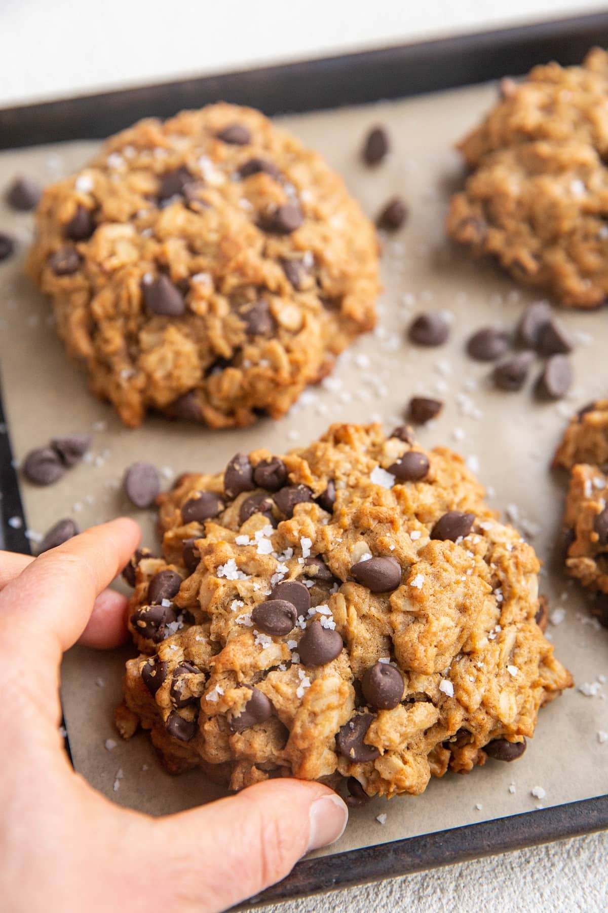 Hand picking up a giant peanut butter oatmeal cookie with chocolate chips.