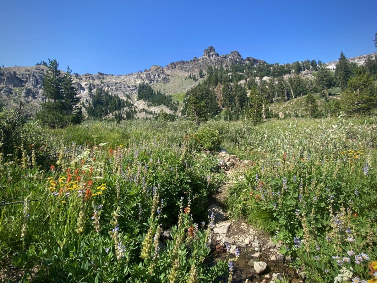 Warren Lake, Tahoe