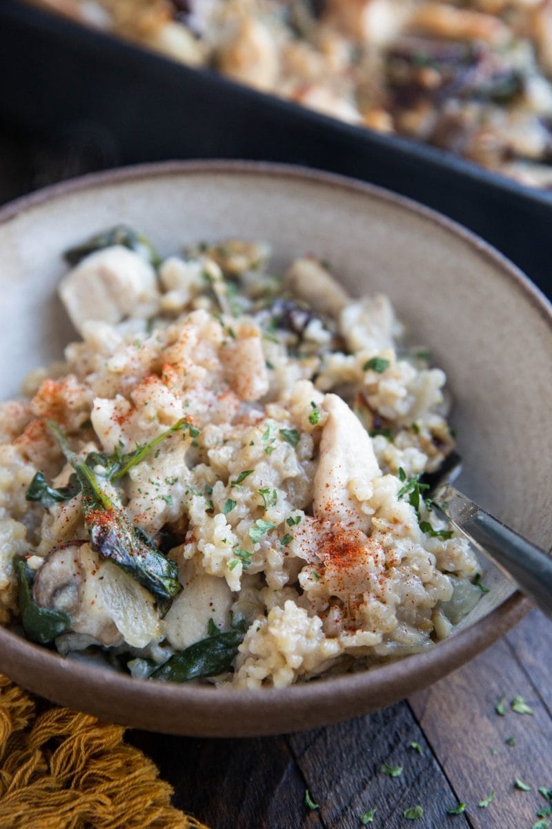 Bowl of chicken, mushroom and rice casserole, ready to eat.