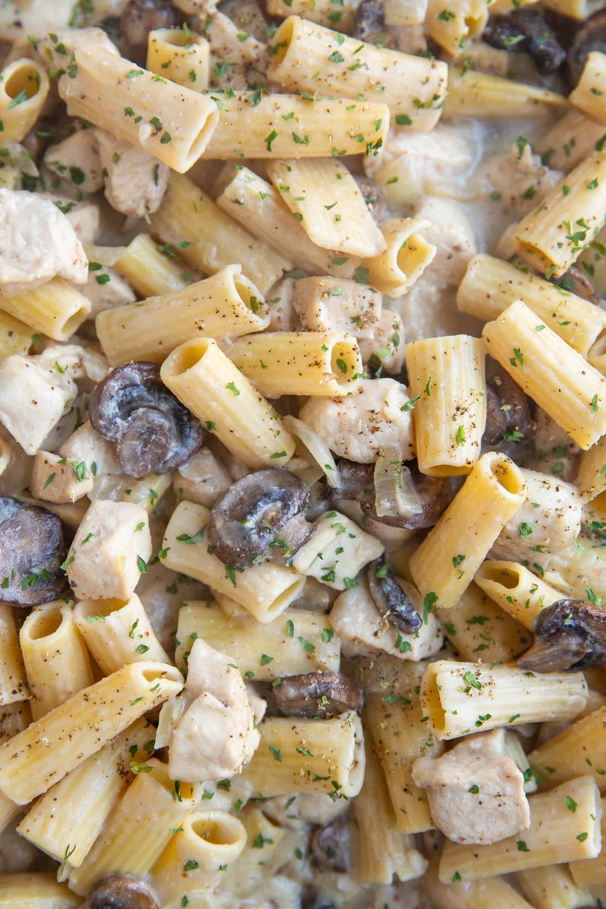 Close up image of chicken stroganoff so you can see the noodles, mushrooms, chicken and creamy sauce.
