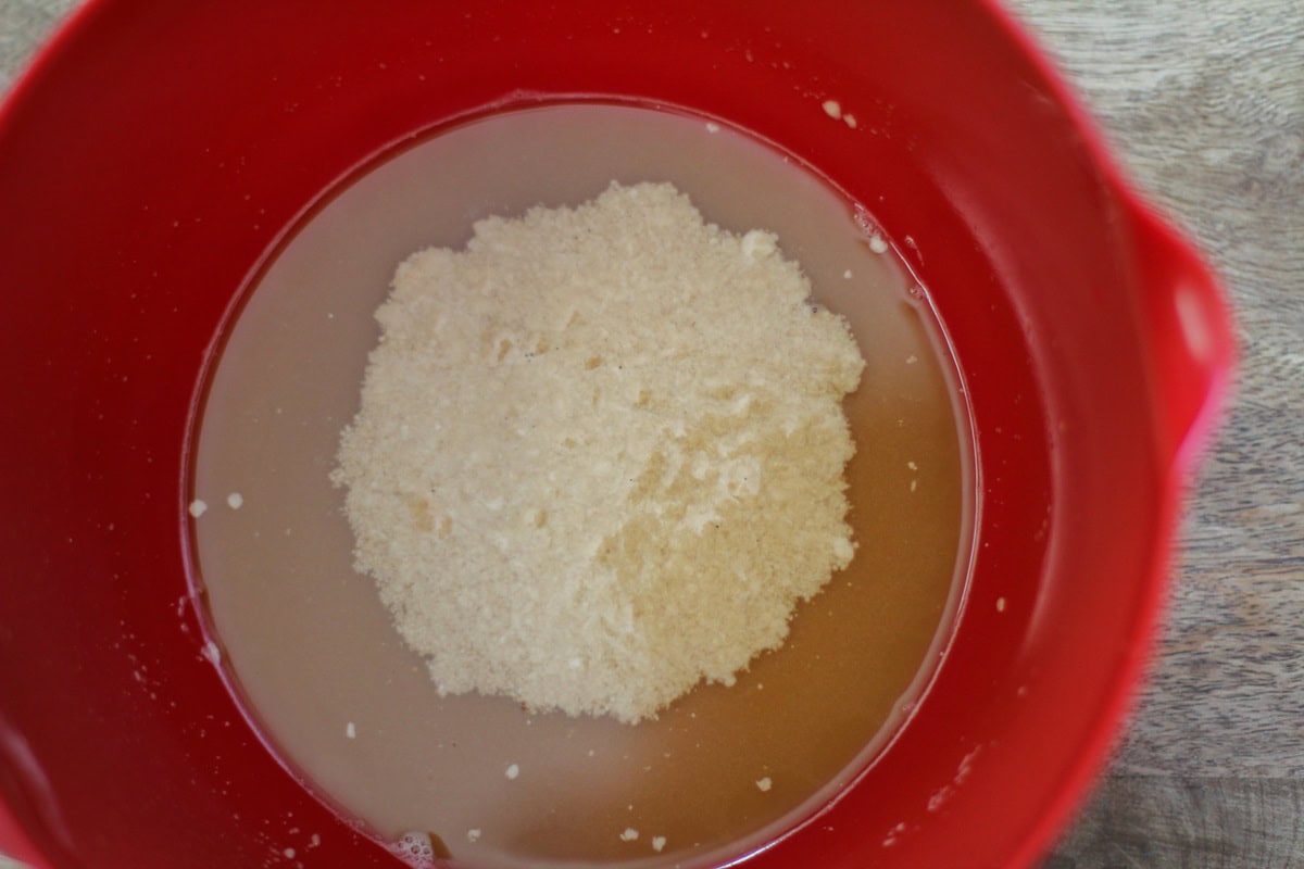 Red mixing bowl with yeast and water mixed together. The yeast is blooming into colonies already.