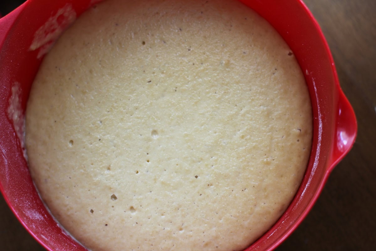 Almond flour pizza dough in a large red mixing bowl, puffy from having Sat and risen for one hour.