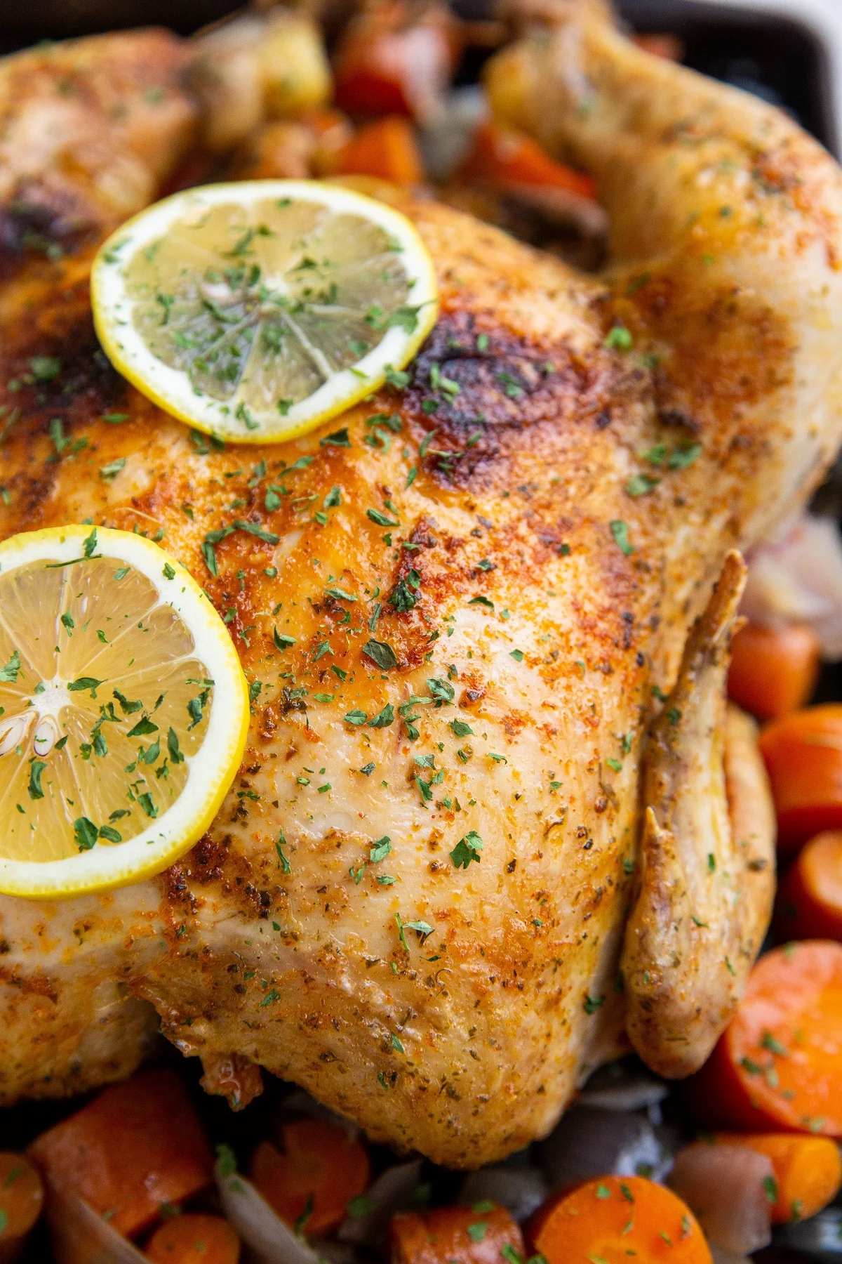 Whole cooked chicken on a baking sheet with lemon slices and vegetables.