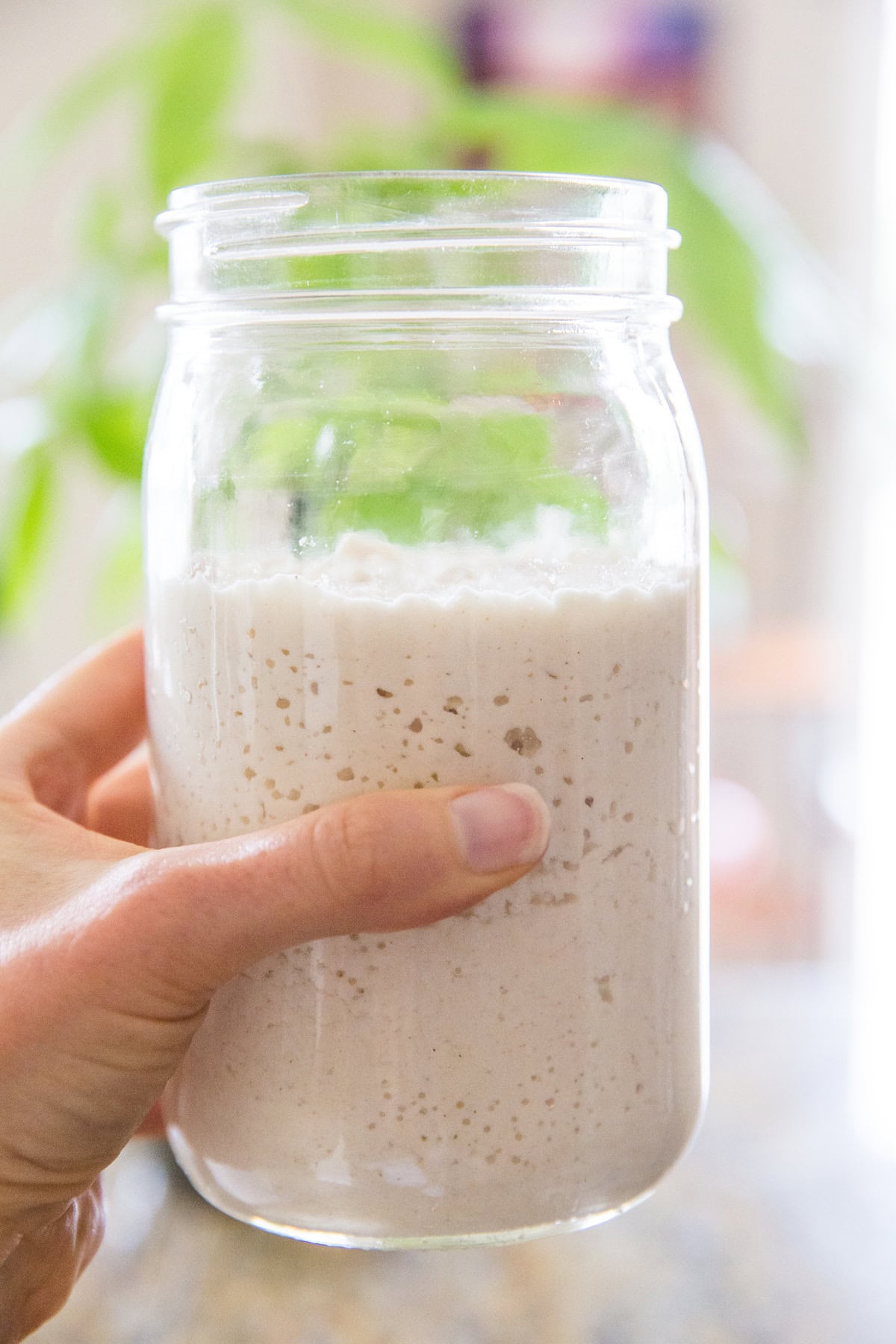 Hand holding jar of sourdough starter