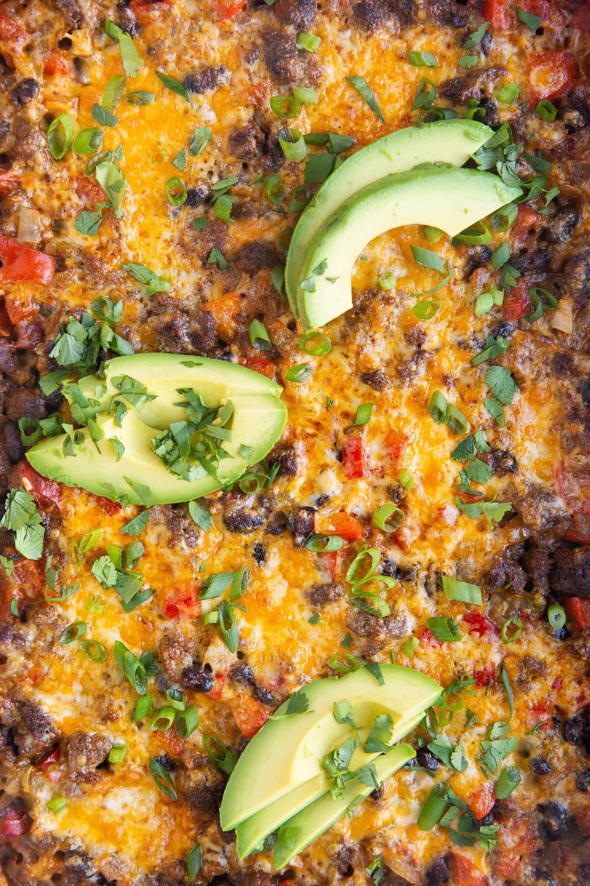 Close up of a ground beef taco casserole with sliced avocado and cilantro on top.