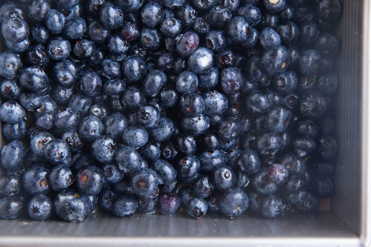 Blueberries in a square baking dish.