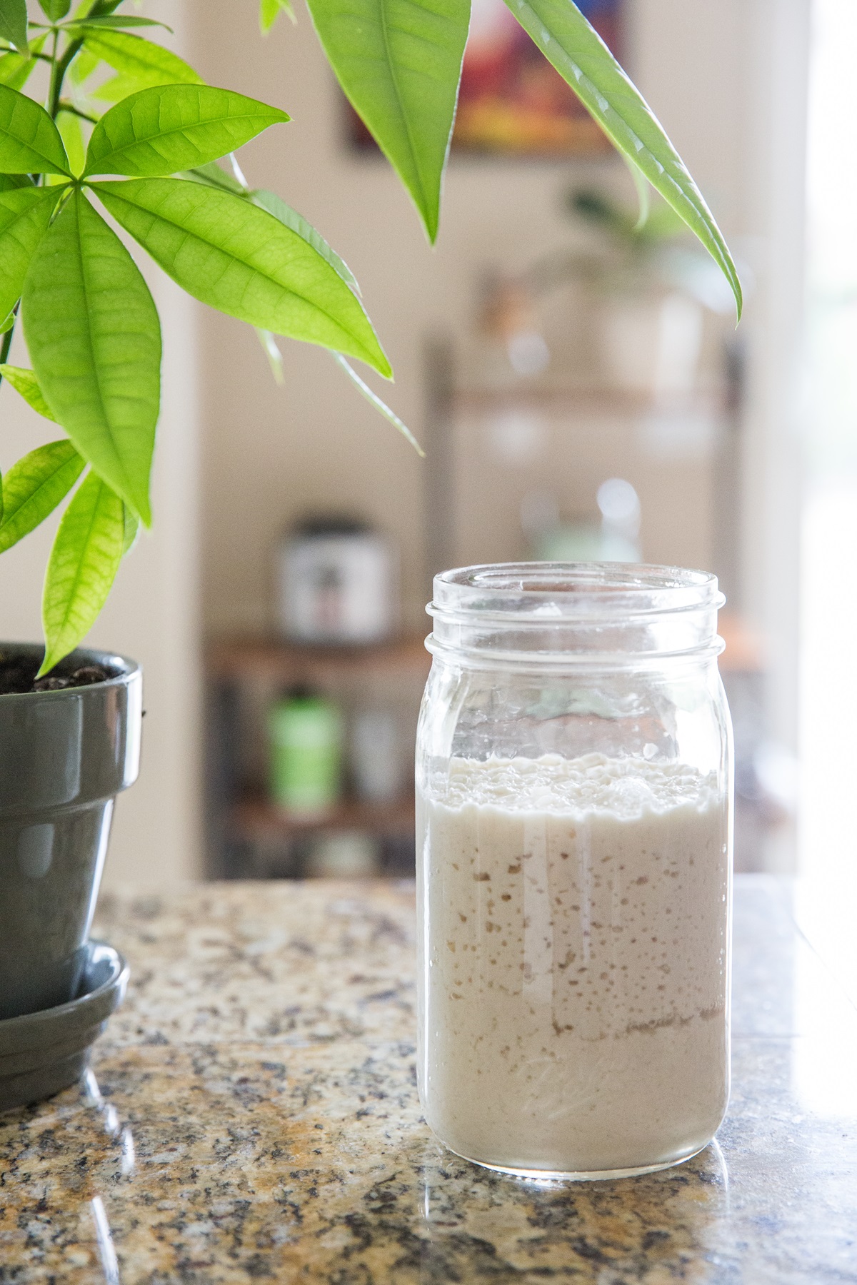 Sourdough starter in a jar on a counter