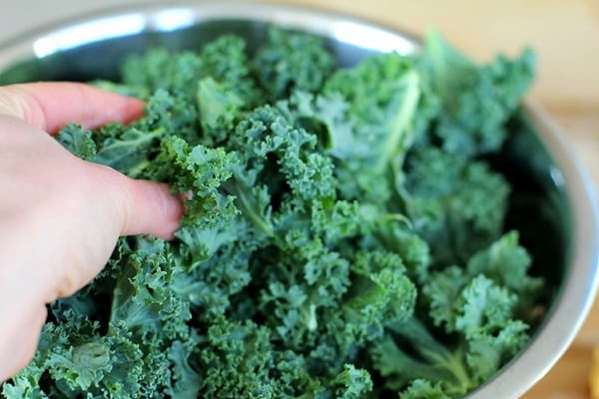 Hand massaging a bowl full of kale leaves with lemon juice