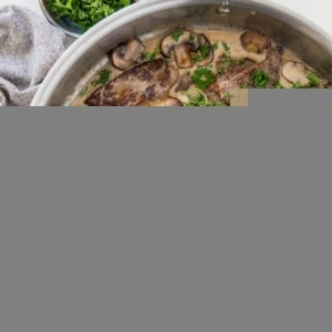 A stainless steel skillet filled with creamy paleo beef stroganoff, featuring sliced beef, mushrooms, onions, and a garnish of chopped parsley. A small bowl of fresh parsley and a gray cloth sit beside the skillet.