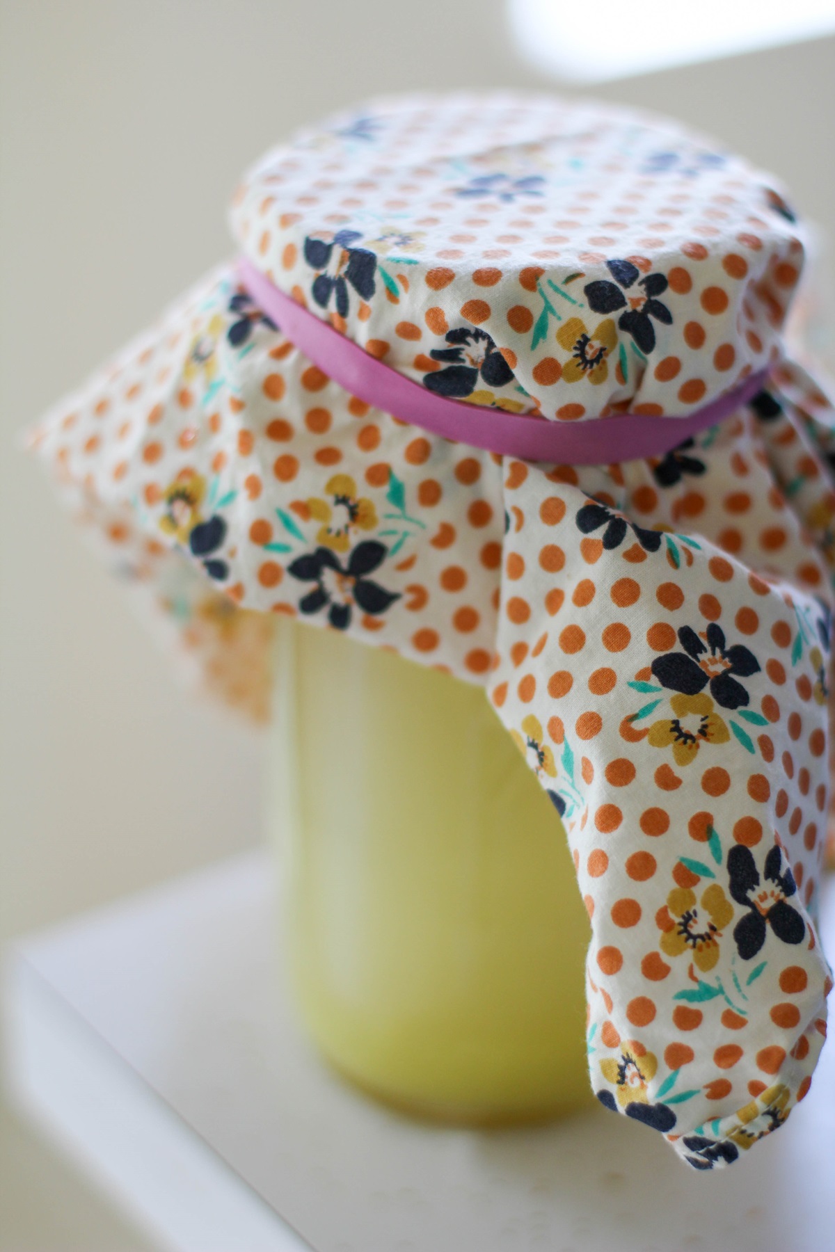 jar of ginger starter with a towel on top, secured by a rubber band